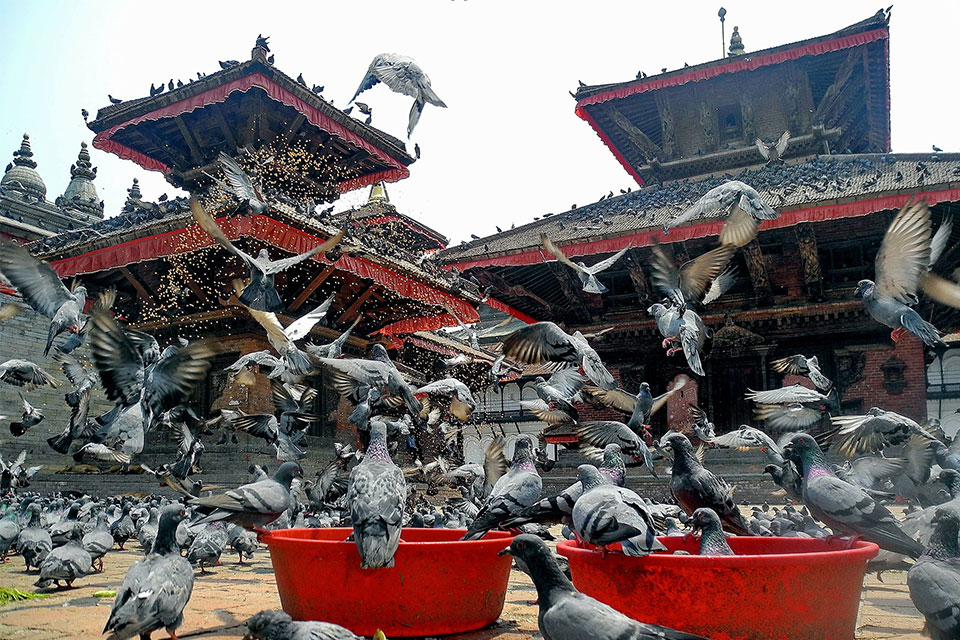 Top 3 festivals in Kathmandu valley